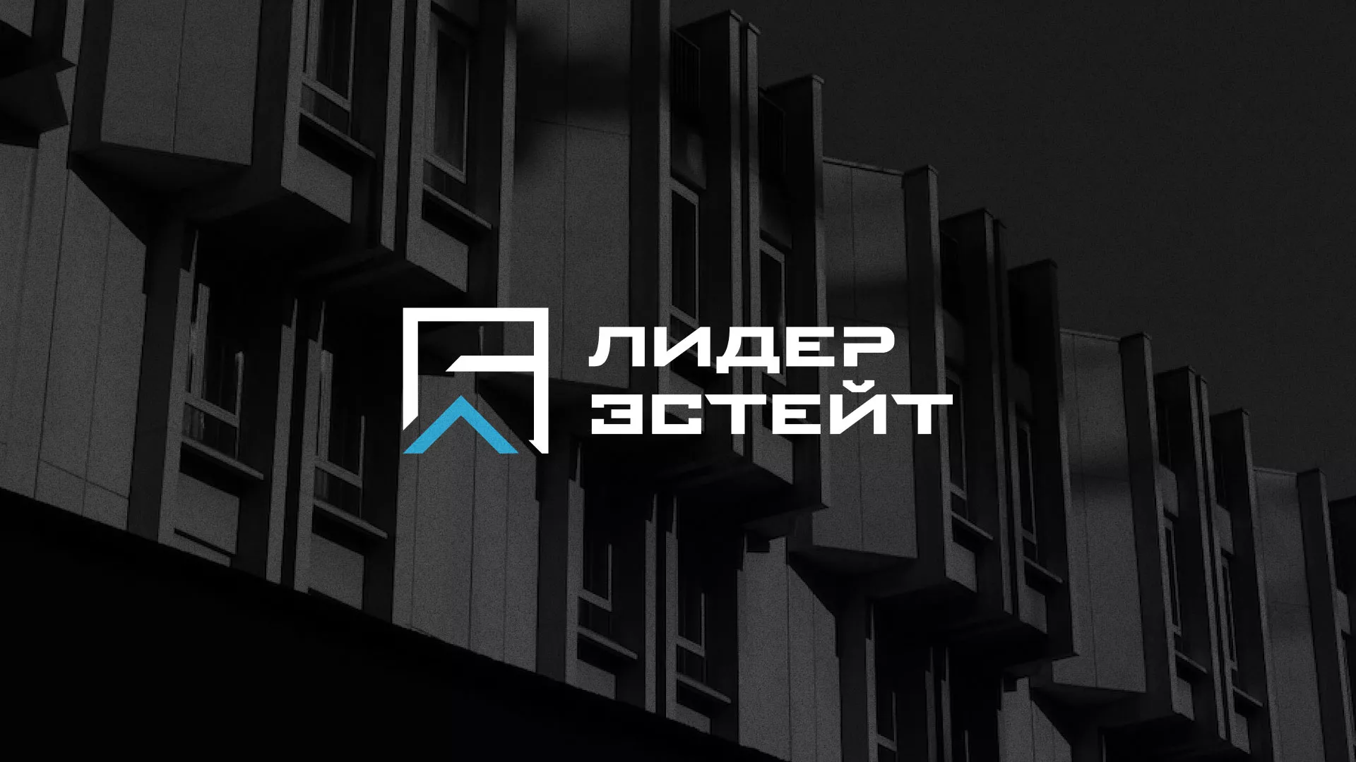 Разработка логотипа агентства недвижимости «Лидер Эстейт» в Уфе