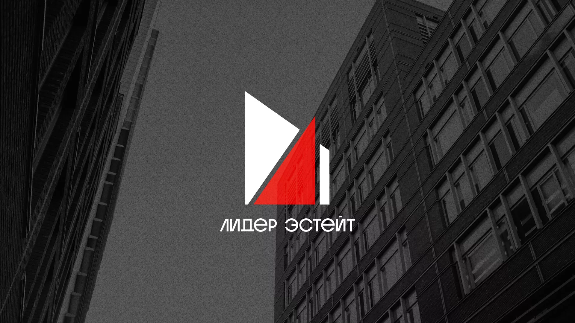 Сделали логотип для агентства недвижимости «Лидер Эстейт» в Уфе